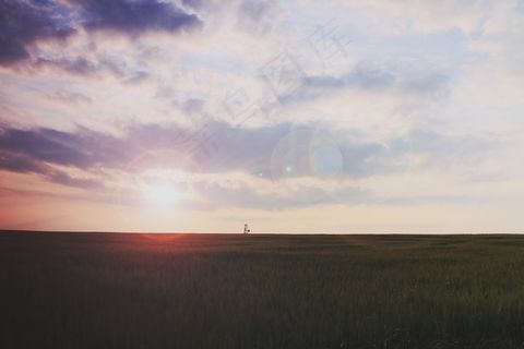 天空,图画,树,风景,草原,景观日落日出场