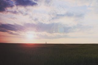 天空,图画,树,风景,草原,景观日落日出场