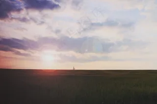 天空,图画,树,风景,草原,景观日落日出场