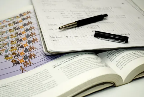 学生,生物学,笔记,思考,研究,教师 学生,生物学,笔记,思考,研究,教师