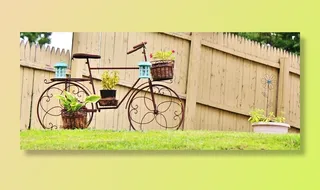 自行车，装饰，自行车植物架，夏天，草坪