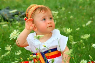 蹒跚学步，传统服饰，鲜花，草，绿色