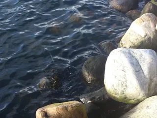 石头，水，反射，自然，放松，禅宗