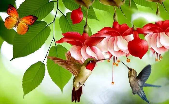 公主耳环，花朵，蝴蝶，花园，春天
