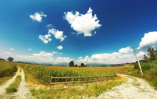云,风景,天空,夏季,原野,自然 云,风景,天空,夏季,原野,自然