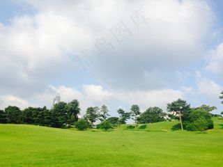 首尔奥林匹克公园，奥林匹克公园，孤树，木材