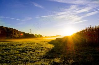草地，日出，晨雾，雾，太阳，日落，自然