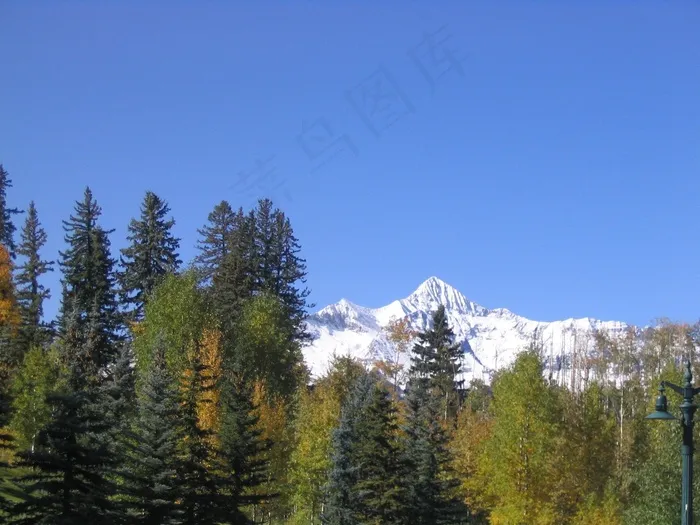 山，山顶，树木，雪，现场，景观