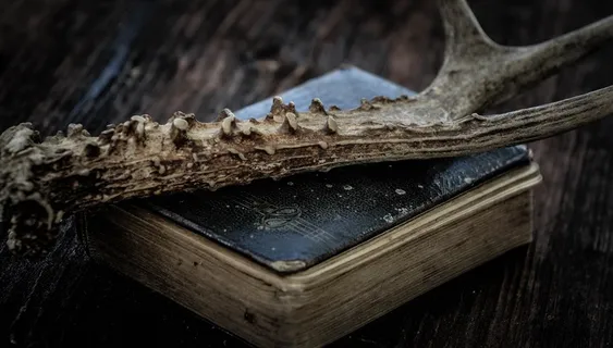 书，老书，古董，鹿茸，木材，木桌