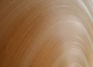 纸卷，角色，圆，同心，中心，关于