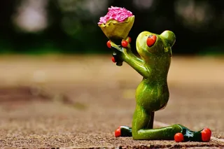 树蛙,猫眼树蛙,青蛙,卡通动漫人物,青铜蛙,跪着青蛙与花束的雕像