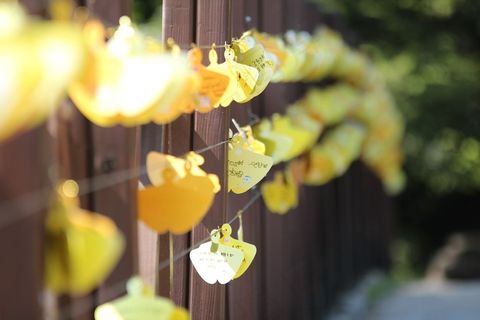 希望，称为截面，重复，黄色