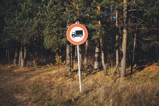 植物,树,街道,路标,花草牌,没有高速公路的交通