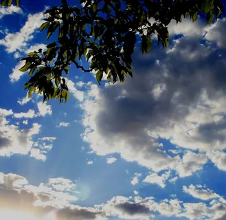 天空，发光，云，白色，叶子，绿色