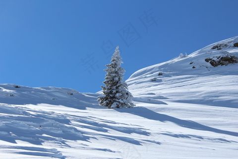 蒙塔丰，加斯楚恩，奥地利，树，对于，雪，山