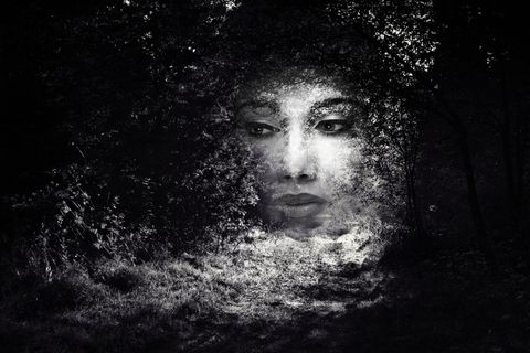 照片，操作，编辑