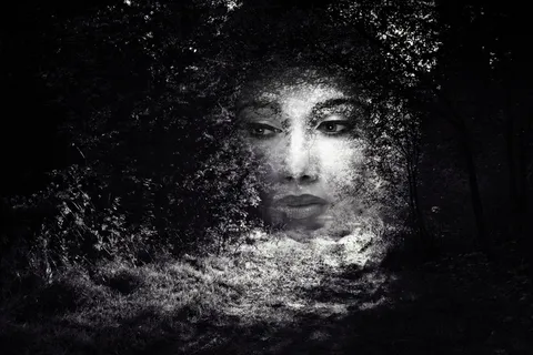 照片，操作，编辑