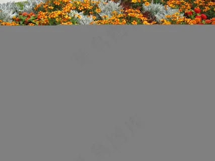 鲜花，Blütenmeer，床，折扣，装饰