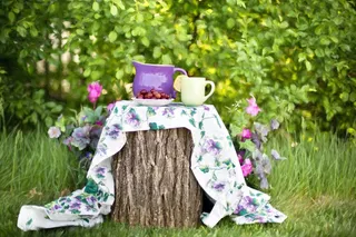 夏天，静物，投手，花园，户外