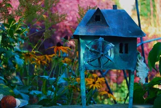 风车，花园，多彩