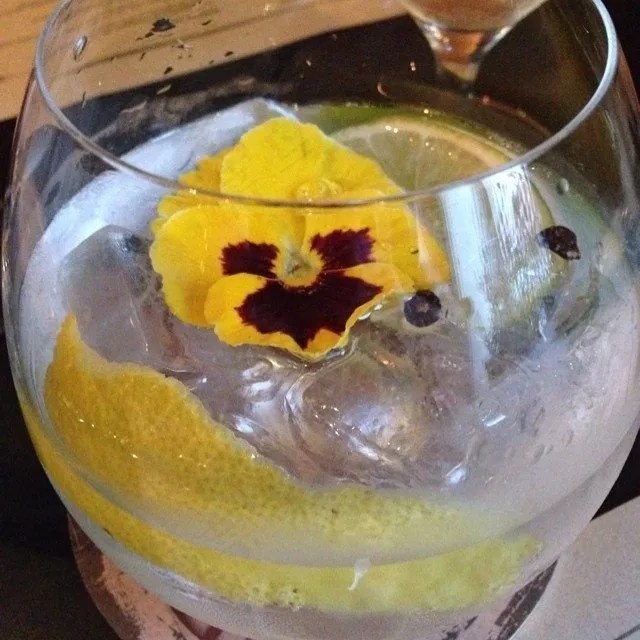 容器,玻璃杯,菊花茶,鱼缸,饮料/饮品,现在是杜松子酒和补品！