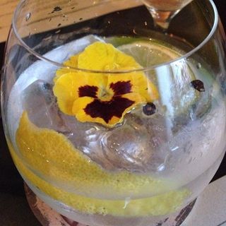 容器,玻璃杯,菊花茶,鱼缸,饮料/饮品,现在是杜松子酒和补品！