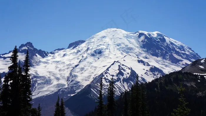 山，雷尼尔山，华盛顿，雷尼尔，国家