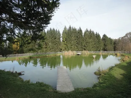 湖，水，静水，网络，休息