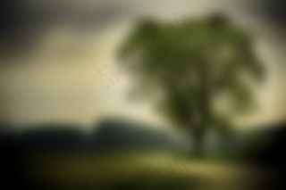 雨后的彩虹,天空,卷积云,草原,雪树银花,自然模糊树绿色