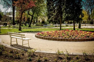 长凳，公园，垫片，休息