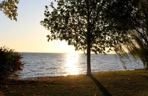 Morgenstimmung，秋天，Frühherbst，树木，灌木