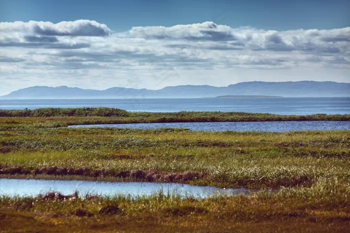 湖，沼泽，水，景观，自然，草