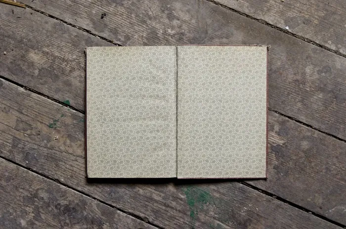 老书，老，本书，酿酒，纸，纹理，岁