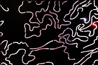 工笔画,阿拉伯数字,花纹底,花背景,抽象眩光视觉艺术