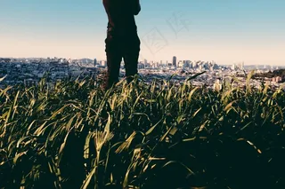 作物，植物，自然，城市，建筑物，天空，人