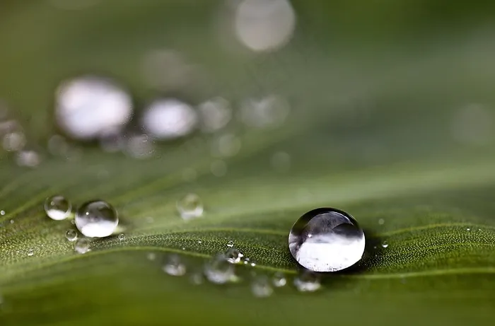 滴，水滴，水，雨滴，自然