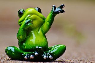 青蛙，波，告别，滑稽，可爱，图，甜