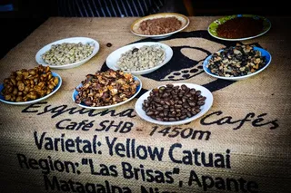 咖啡豆，优质咖啡，文化，尼加拉瓜