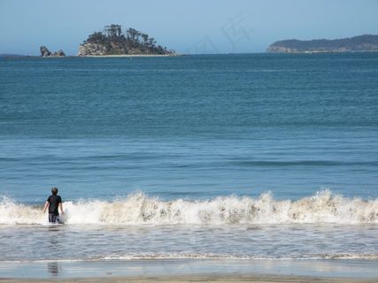 海洋，海滩，冲浪，岛，树木岬角，男孩