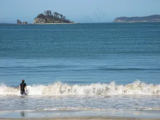 海洋，海滩，冲浪，岛，树木岬角，男孩