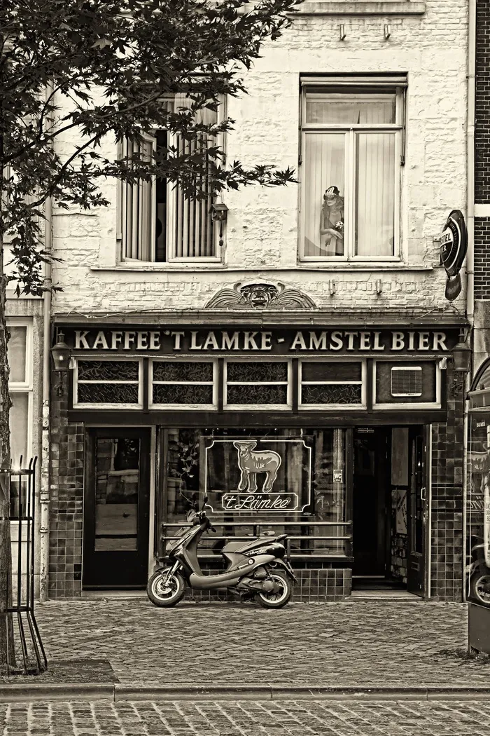 酒吧，两轮车，怀旧，老，啤酒