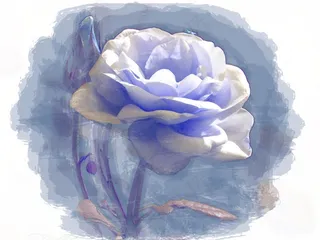 蓝色，玫瑰，数字，绘画，花