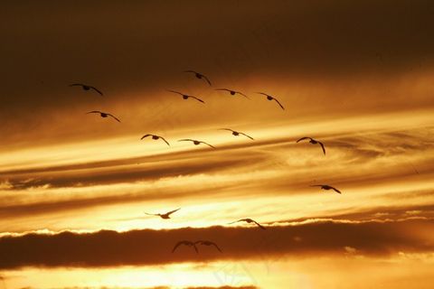 日落，景观，暮光之城，黄昏，阳光，天空