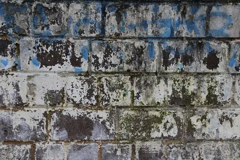 墙,架构,墙,涂鸦,城市,石工 墙,架构,墙,涂鸦,城市,石工