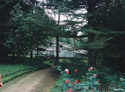 公园,温室,花园,方式,路径,园艺,玻璃 公园,温室,花园,方式,路径,园艺,玻璃