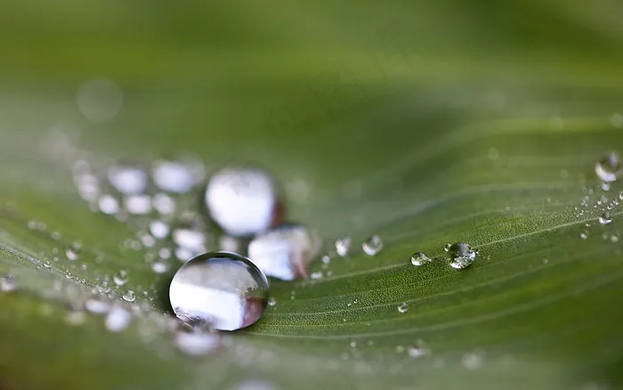滴，水滴，水，雨滴，自然