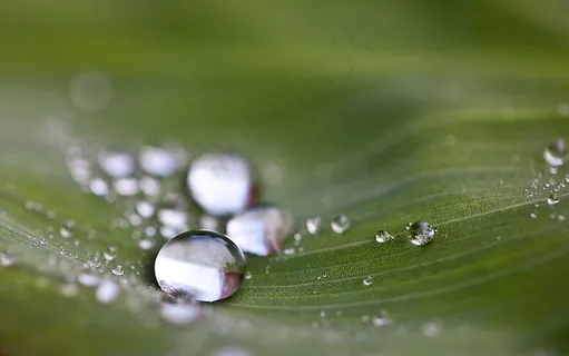 滴,水滴,水,雨滴,自然 滴,水滴,水,雨滴,自然