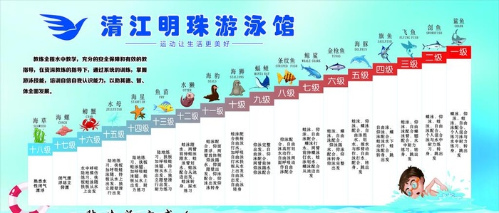 游泳馆图片cdr矢量模版下载