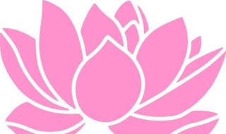 莲花矢量图图片