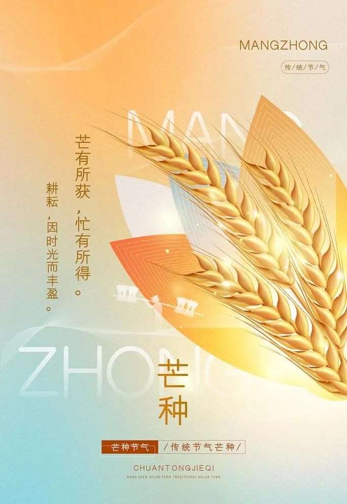 芒种海报图片